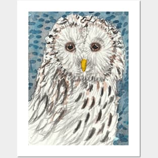 Owl bird Posters and Art